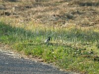 DSCF2752.jpg