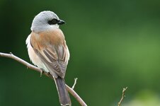 neuner1nordost (42 von 27).jpg