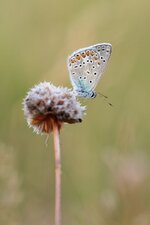 comp_20170731_1500.jpg