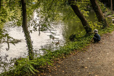 Test-web-1000096.jpg