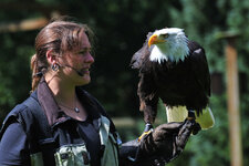 Eagle has landed.jpg