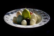 IMG_7546.jpg