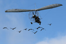 IMG_zzj3145.JPG