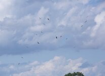 dslrBoek-8.7.17milan-3.jpg