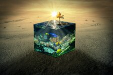 Compressed_0088.jpg Compressed_0088.jpg
