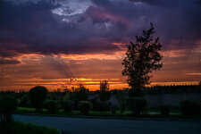 Landschaft_mit_Sonnenuntergang_1200.jpg