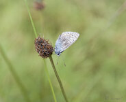 20130624-_DSC2560.jpg