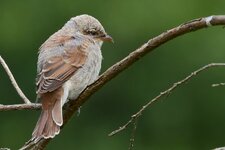 neuner2nordost (52 von 95).jpg