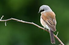 neuner3nordost (43 von 27).jpg