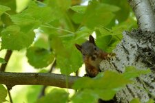 comp_DSC_5789.jpg
