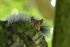 comp_DSC_5808.jpg
