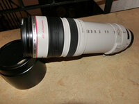 Canon_2.JPG