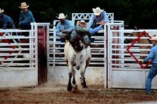 2017_08_27--0011.JPG