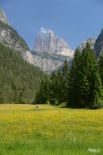 Südtirol 2017DSC_6141.jpg