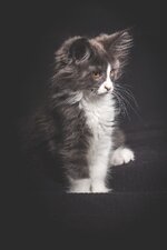 IMG_2368-2_DSLR.jpg