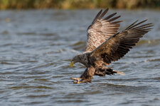 D50_8341-3.jpg