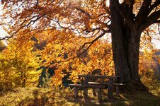 Rhön_Herbst-7.JPG