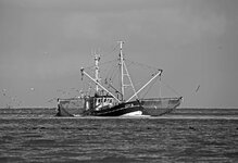 dslrCux17.11.17fischerboot-1sw.jpg