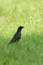 FDSC07390.jpg