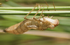 IMG_7245s.jpg