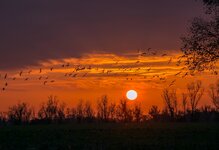 dslrLi14.10.17-sunset-3.jpg